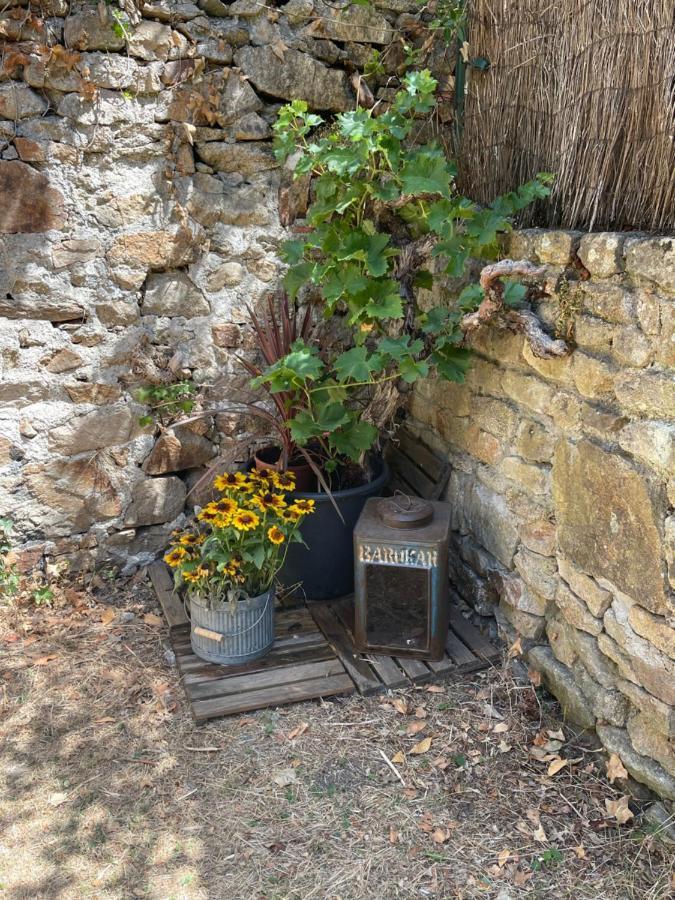 Le Patio, Coeur De Ville Avec Garage Et Jardin Vannes Dış mekan fotoğraf