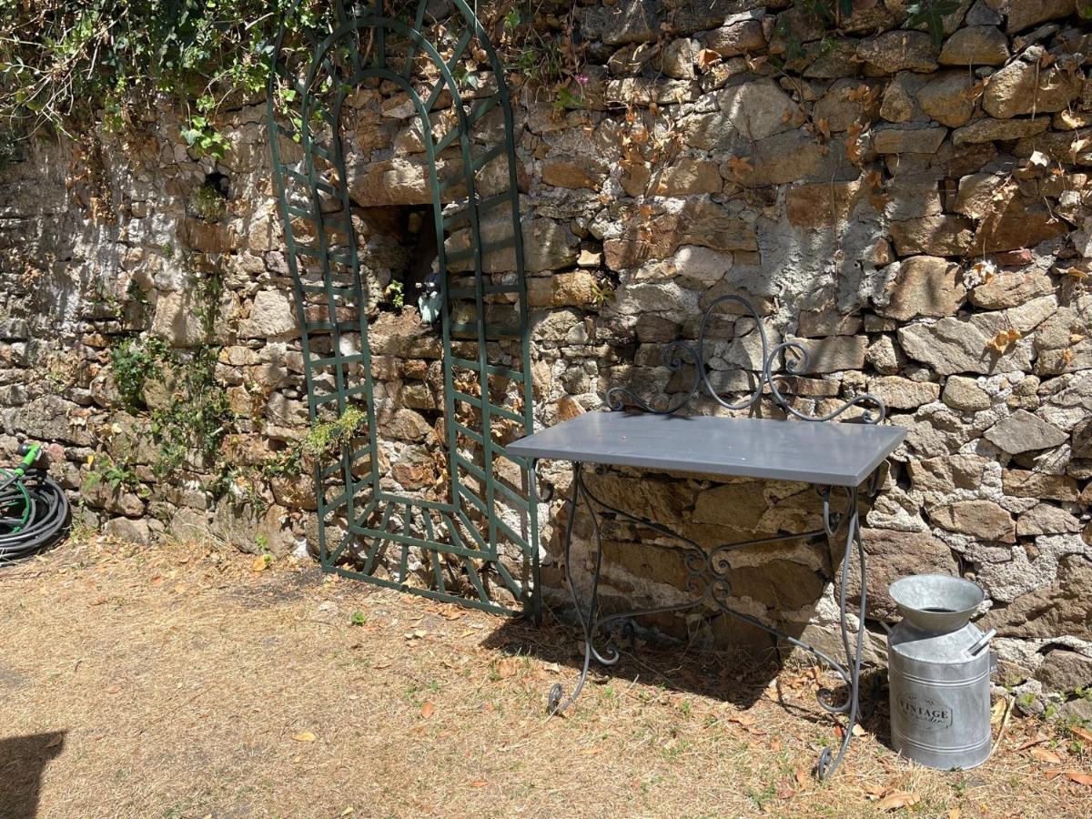 Le Patio, Coeur De Ville Avec Garage Et Jardin Vannes Dış mekan fotoğraf